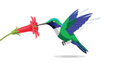 Obraz premium Vibrant vectorized illustration showcasing a hummingbird extracting nectar from a bright red flower with stylized wing motion effects