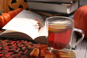 Autumn Still Life with Tea Pumpkins and Open Book
