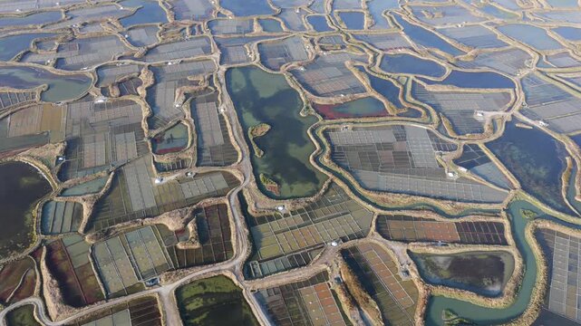 Aerial view of the salt fields of Guerande France at sunset