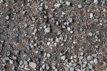 Natural dirt ground in a forest background. Stones and dead leaves on the ground.
