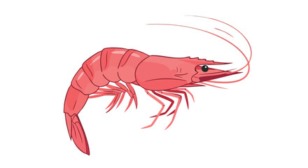 Stylized depiction of a vibrant pink shrimp against a stark white background showcasing its graceful curved body and delicate antennae
