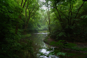 The summer valley illuminated by the morning sun © KEN　G.G.