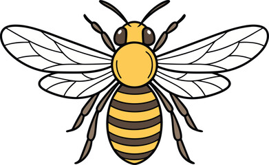 bee vector illustration