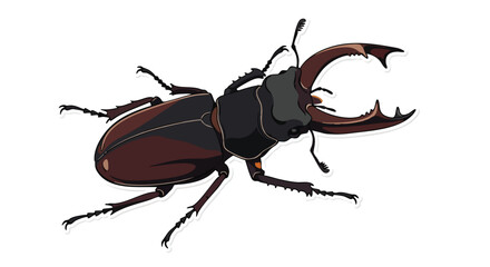 Illustrated stag beetle on a stark white backdrop presenting captivating anatomical details, capturing the beauty of this insect with artistic flair