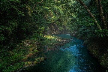 The summer valley illuminated by the morning sun