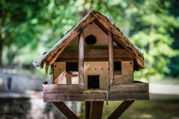 Empty birdhouse in a Forest Setting