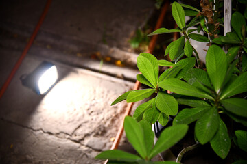 flashlight and light beam in dark mist room at night . abstract projector spotlight white lay