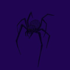 spider on a white background