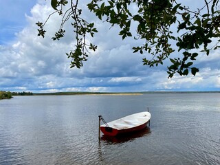 lonely boat floating on calm lake under cloudy sky and tree branches