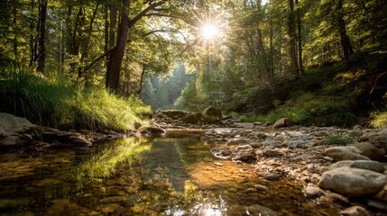 Serene forest scene with a gentle stream flowing through lush greenery and tall trees under soft sunlight