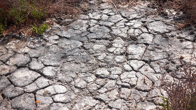 Kuialnyk Estuary, cracked salty silt on the shore of a drying estuary