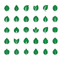 Collection of glowing green leaves arranged in a grid pattern isolated on transparent background