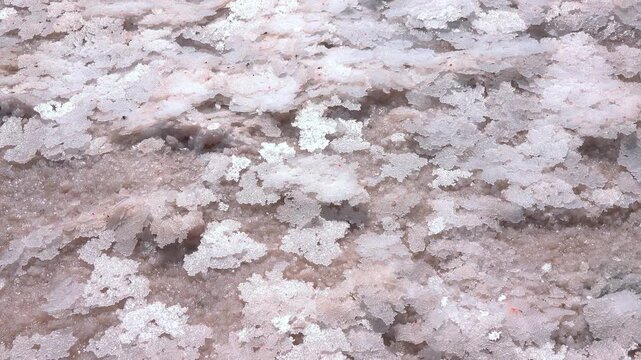 Kuialnyk Estuary, crystalline table salt that fell on the bottom of a drying estuary