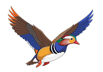 An artistic illustration of a flying Mandarin duck, showcasing its vibrant plumage and graceful flight. no background