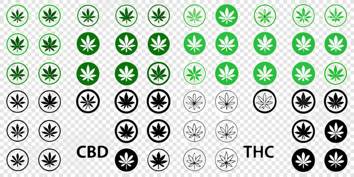 Collection of cannabis leaf icons in green black and outline styles with cbd and thc labels