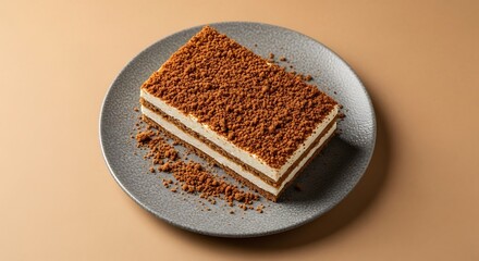 Tiramisu Dessert on Plate.
