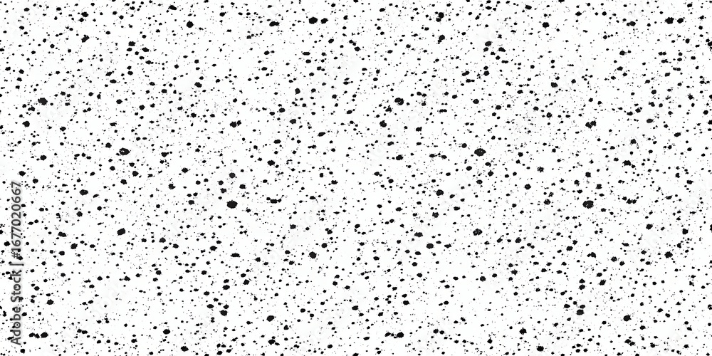 Poster abstract black and white speckled pattern with a grainy texture and random distribution