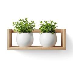 Wooden wall shelf with plants
