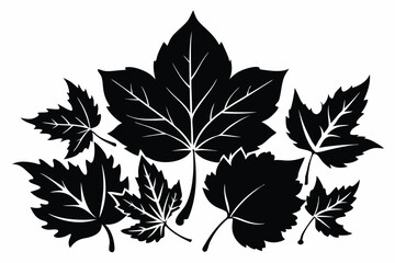 Stylized Black and White Illustration of Maple Leaf Silhouettes Forming an Arrangement