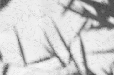 Background shadow white light wall floor backdrop overlay leaf mockup summer sunight overlay nature...