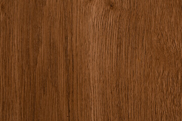 A sample of a plastic wall panel made to look like wood, copy space.