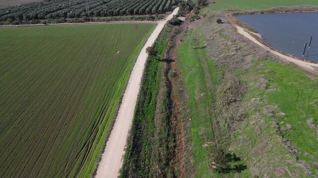Gideon Grove, Nahal Harod Trail from a drone in Israel