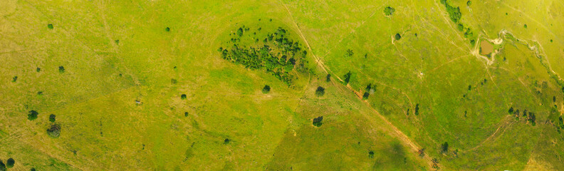 Aerial view of green pasture grass. Background grass panorama