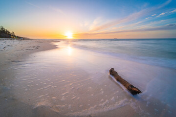 Driftwood on a Beach at Sunset