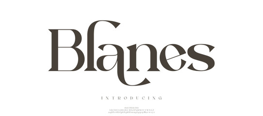 Blanes  alphabet letters font logo. Typography luxury classic lettering serif fashion fonts decorative wedding vintage retro logos. vector illustration