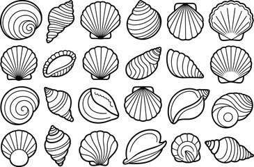 Seashell outlines, marine shells, ocean mollusks, spiral shells, fan shells, conch, scallop, beach, coastal, sea life, nature, flat vector illustration
