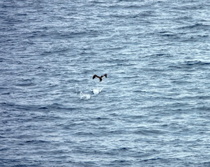Tropical seas. Views of the Bali Sea from the ship in winter,summer in the southern hemisphere....