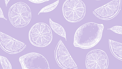 White pattern on purple background, food wallpaper. Vintage drawing cut lemon sketch pattern. 