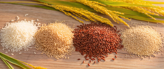 Piles of Various Grains, Including Rice, Quinoa, and Wheat, Healthy Food