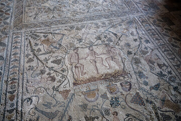 Ancient Roman Mosaic with Figures and Patterns in Casa del Anfiteatro, Merida