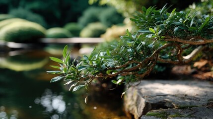 Lush green foliage of a bonsai tree branches over a tranquil pond, with soft sunlight filtering through.