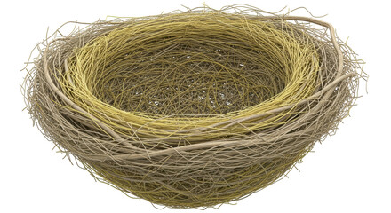 Isolated Bird Nest