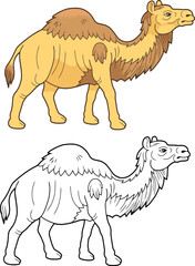 african camel, coloring page for kids