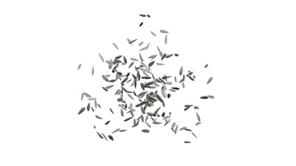 Scattered sunflower seeds illustration on a transparent background, ideal for healthy food, organic design, and natural-themed graphics.