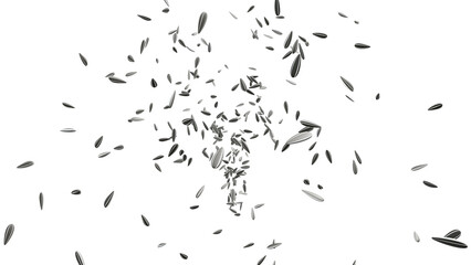 Scattered sunflower seeds illustration on a transparent background, ideal for healthy food, organic design, and natural-themed graphics.