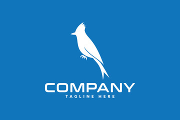 Blue jay bird logo design. Logo icon vector illustration