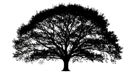 Green Tree Silhouette with Detailed Branches and Foliage