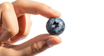 A hand holds a single ripe blueberry between the thumb and forefinger