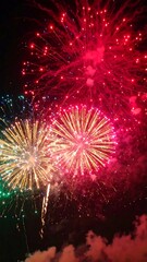 Colorful fireworks exploding in the night sky