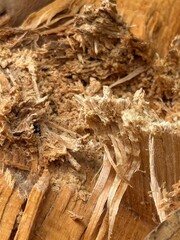 Macro close-up of splintered wood fibers showing rough texture, natural patterns, and torn wooden surface detail.