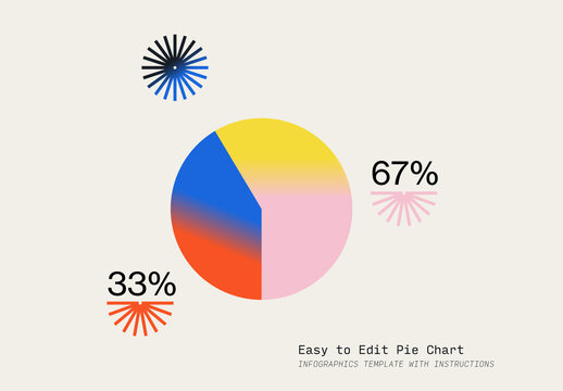 Easy To Edit Pie Chart Infographic Template with Instructions