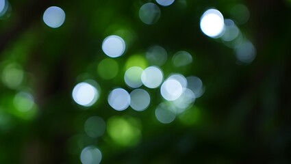 Obraz premium Green Bokeh Background Abstract Light Circles