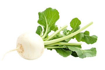 White Turnip with Green Leaves isolated on a transparent background root vegetable 3