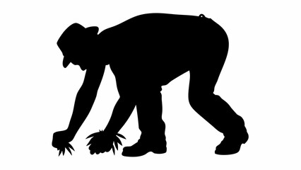 Obraz premium Silhouette of a man in a hat bending over and picking up leaves from the ground in a black shape