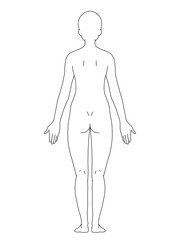 解剖学的正位　女性　背面　線画