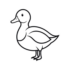 Ringed Teal Outline Bird Vector on White Background